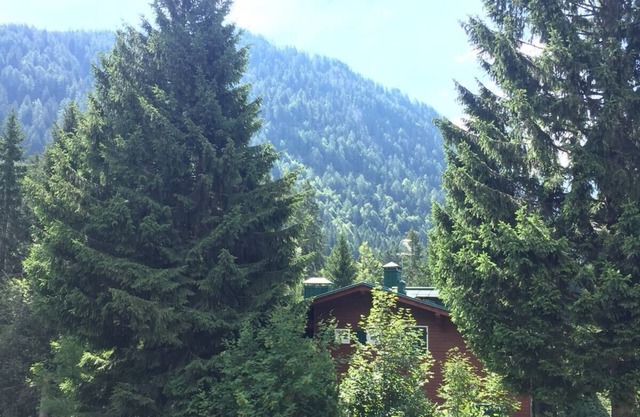Schöne Schneeflocke in den Dolomiten Madonna di Campiglio