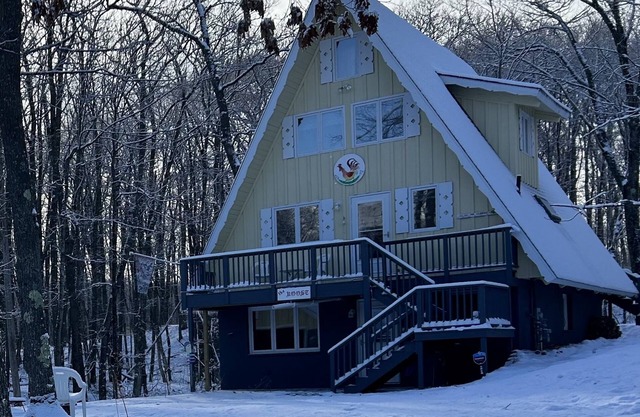 Lower level, cozy, dog friendly chalet in a wooded location-3 blocks from skiing
