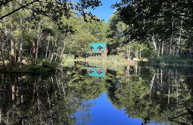 Lower Twin Cabin - 34 beautiful private acres of forest, meadows and riverfront.