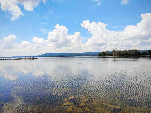 Lucky Lodge ViP Cabin Lake Guntersville Pet Friendly Fully Fenced Boat Parking Private