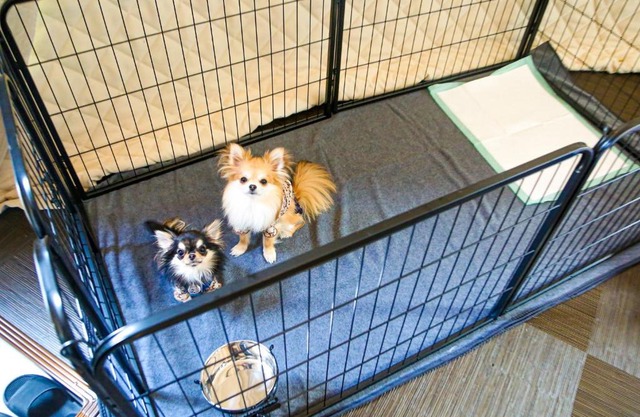 Lupo Forest "GRAN FOREST Echizen Miyama" - Vacation STAY 07123v