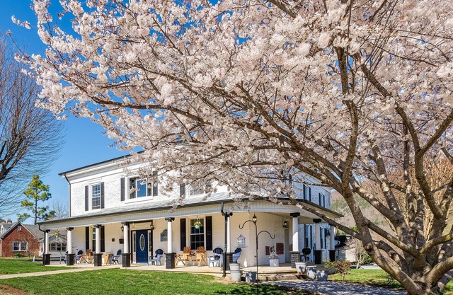 Luxe Virginia Historical Estate w/ Charcoal Grill!