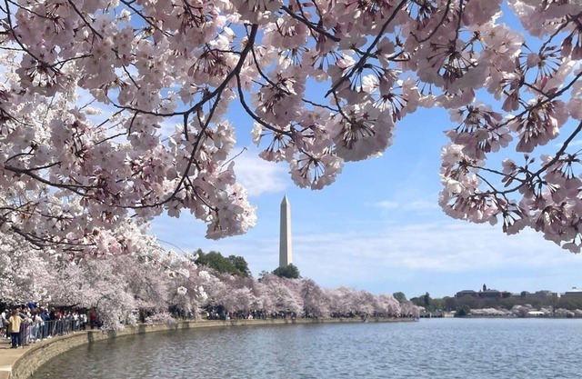 Luxurious 3BDR Penthouse Private Rooftop+ Parking @ H ST Corridor & Capitol Hill