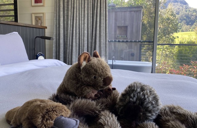 Luxuriöse Boutique-Kabinen (2 King-Schlafzimmer) und eine atemberaubende Aussicht im Känguru-Tal