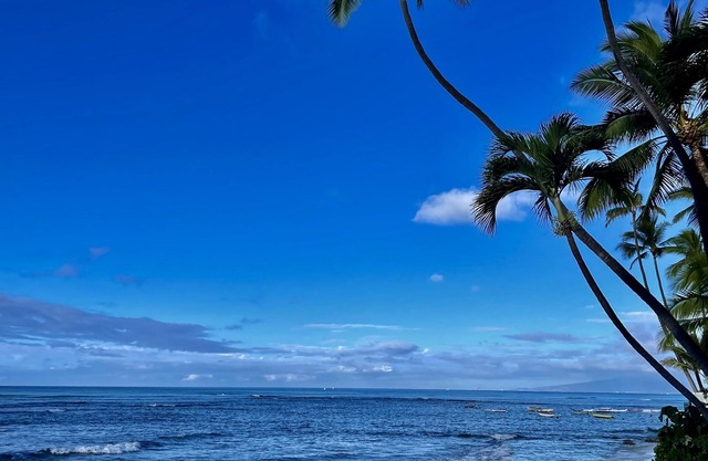Kommen Sie und erleben Sie Aloha