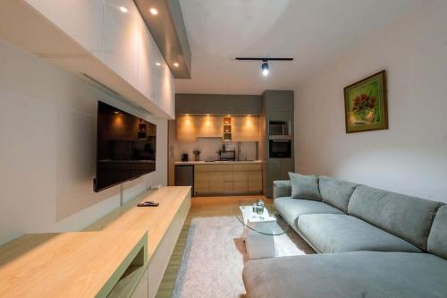 Luxurious/Modern Studio