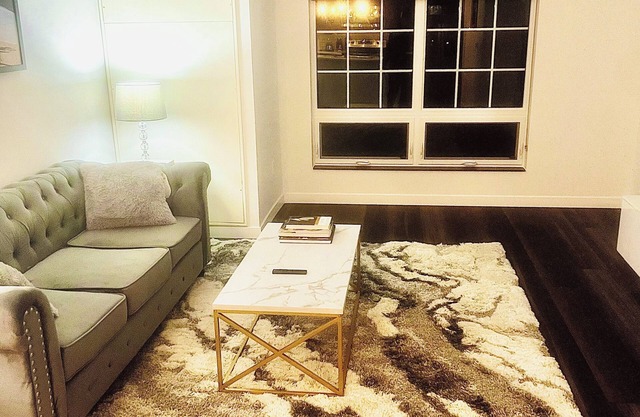 Luxurious Pet-friendly Downtown Apartment