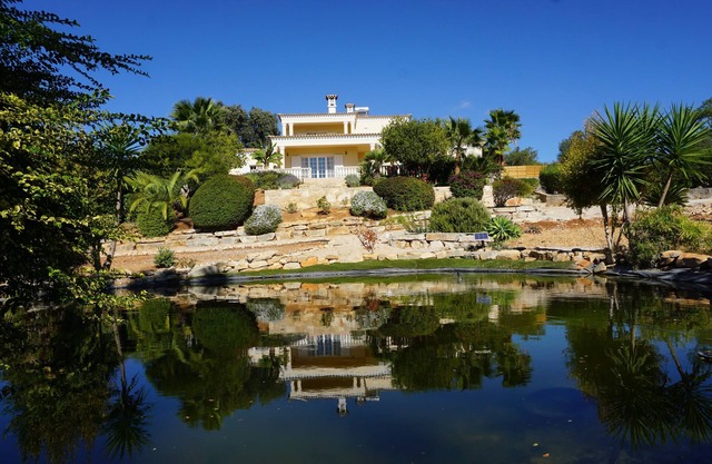 Luxuriöse Villa 9 p. - Eigentum 50 Hektar in der Mitte von Olivenbäumen - herrliche Aussicht
