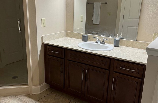 Luxury 1 Bedroom apartment in NOLA