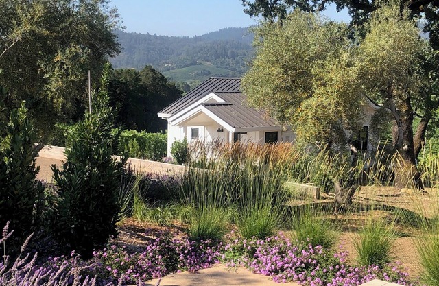 Luxury 1-br cottage on 30-acre vineyard property in enchanting Healdsburg