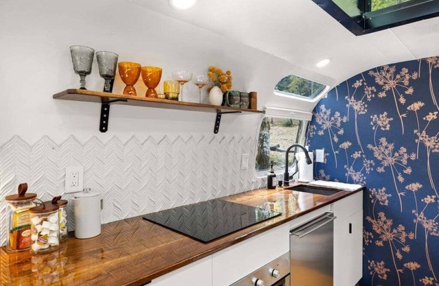 Luxury Airstream w/ hot tub, king bed, & grill