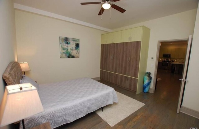 Luxury Apartment in Downtown Utica