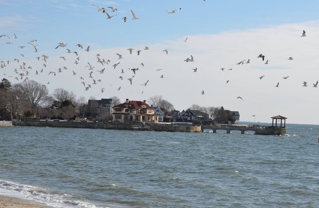 Luxuriöses Strandhaus direkt am Wasser, ideal für Familien mit 5 oder weniger Personen