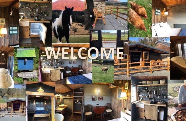 Luxury Cabin in the Magical Galloway Forest Park