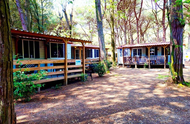 Luxury Chalet near the sea! (no: 723)