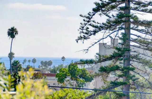Luxury/Cozy/Private Pacific Beach Retreat for 2!