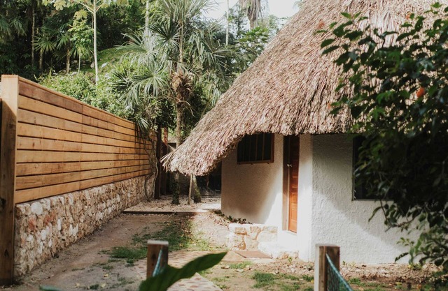 Luxury Eco Jungle View Cabana