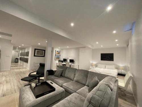 Luxury Executive Studio
