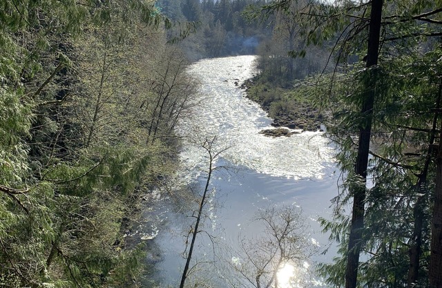 Luxury Fishing Cabin on the North Santiam