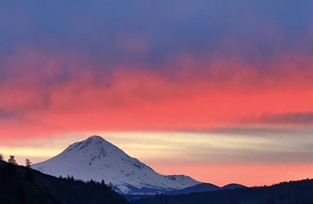 Luxury idyllic guesthouse w/ Mt Hood views, patio w/gas fire-pit, and gardens!