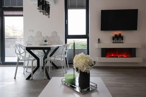 Luxury Landing 11 - centrally located accomodation with private parking Targu Mures