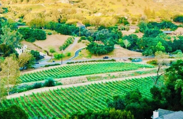 Luxury Retreat, views of Monserate Winery