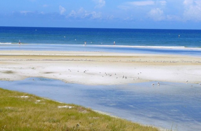 ! Luxus Siesta Key Beach Front Home