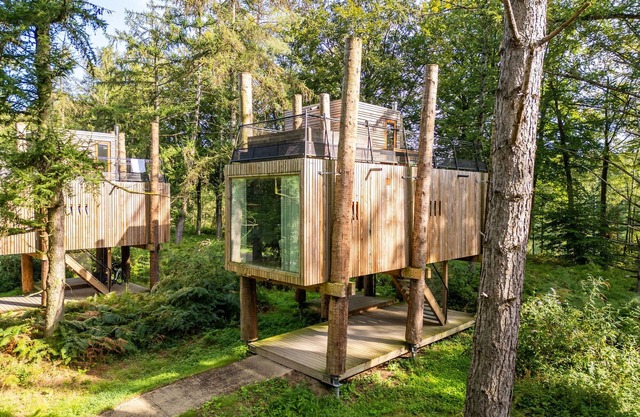 Luxuriöses Baumhaus-Retreat