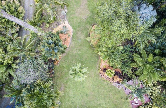 Villa Macaw at the Big Tree Wildlife Refuge with Oceanview