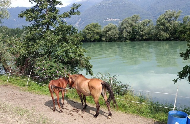 Luxury Villa Sleep 6 Close to Lake of Como