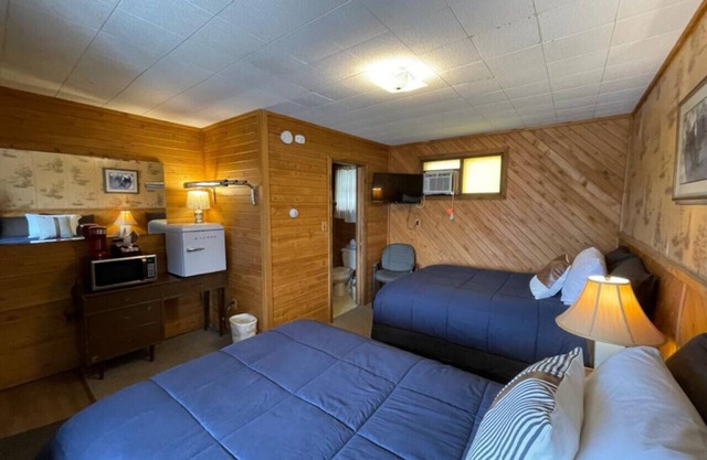 Lyons in Onaway - 2 Full Beds - Room 4 - Sleeps 4