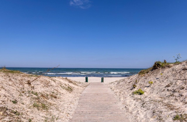 Möwennest, Deutschland