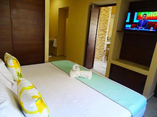 Macondo Raíz Holbox
