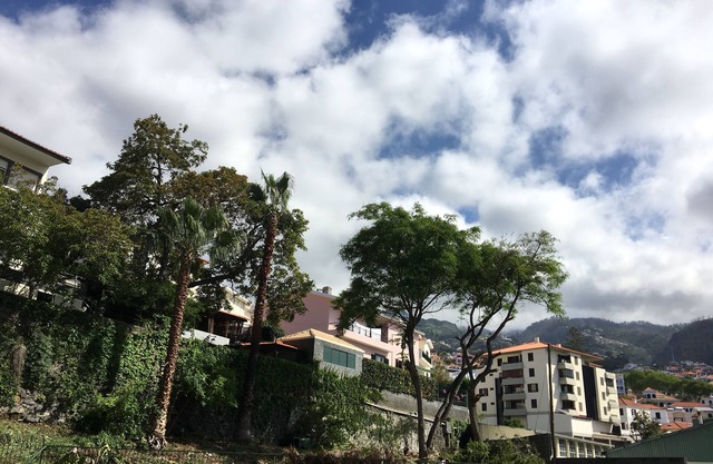 Madeira 4 You, Wohnung, Innenstadt, Kostenlose Parkplätze