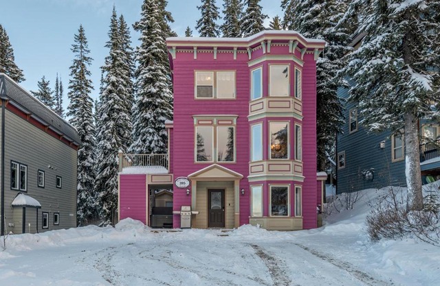 Magenta Haus