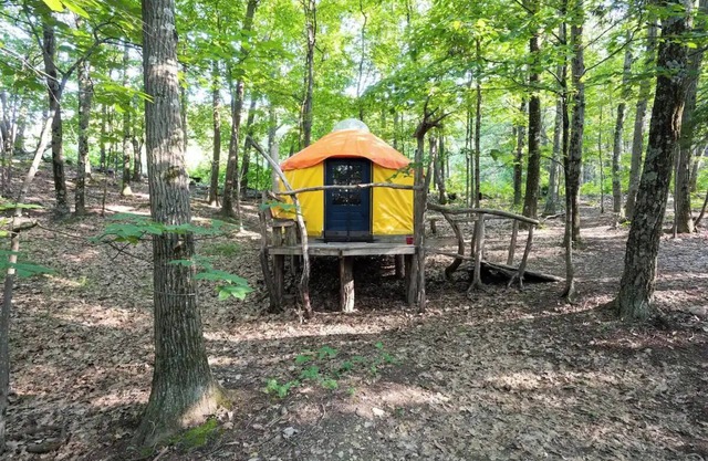 Magic Forest Farm Yurt
