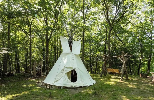 Magic Forest Farm Garden Tipi