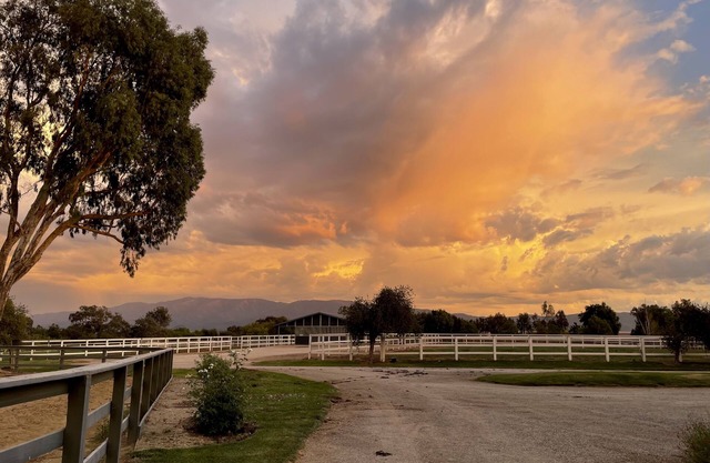 Magical Equestrian Ranch in Santa Barbara Wine Country. Visit Lone Sheep Ranch.