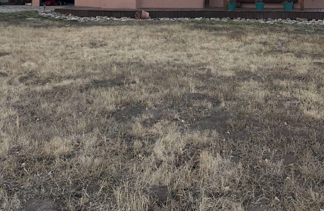 Magical Mountain Retreat on the Pecos River
