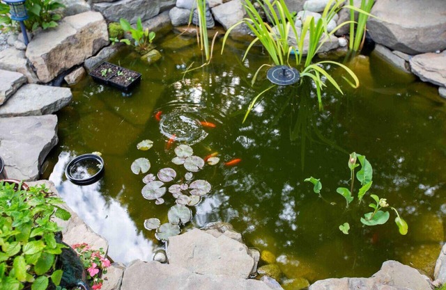 Magical Salt Spring Escape! Cedar Hot Tub & View