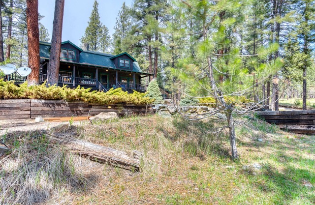 Main & Guest Cabin on 3 Acres in Woods with Pond