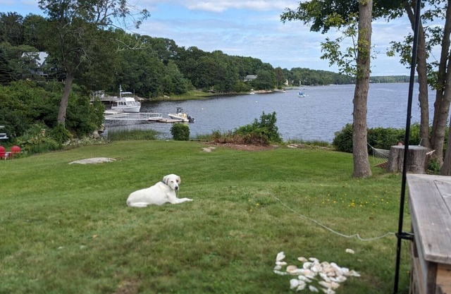 Maine waterfront, walkable to historic downtown
