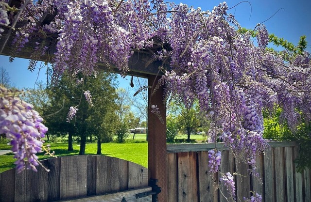 Major Dr. · Stylish-Quiet-Spa&Pool-WiFi-Wine Country Getaway!