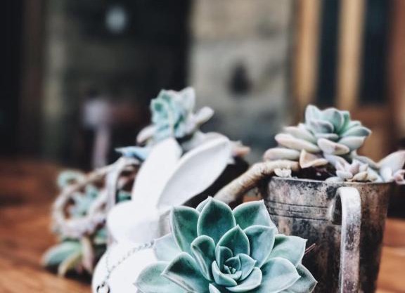 Makoadi Farms Guesthouse