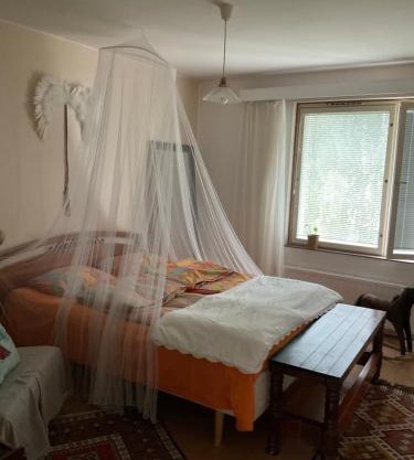 Makuuhuone retrohenkisessä taiteilijakodissa - Tampere Kaleva