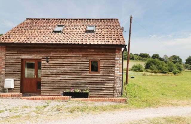 Stockente, NEWNHAM-ON-SEVERN