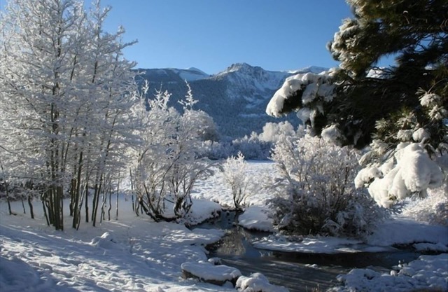 Mammoth - Snowcreek 69 - Fronten auf der Wiese & Mammoth Creek