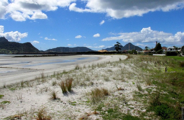 Manaia View Bach - Ein Baumpunkt Bach