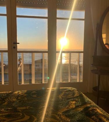 Mar del Plata frente al mar Biblioteca