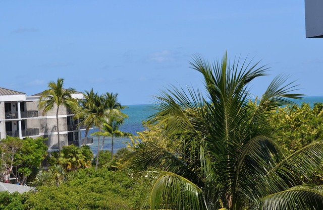 Margaritas in Paradise A411: 2 BR, 2 BA Eigentumswohnung in Key West, 6 Personen
